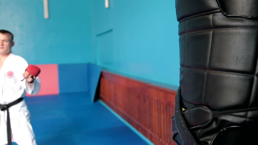 Martial artist doing a kick