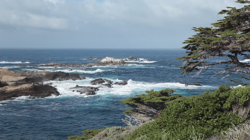 Pacific ocean from Cypress Grove Trail at Point Lobos State Natural Reserve in California, with Monterey Cypress trees in the foreground.