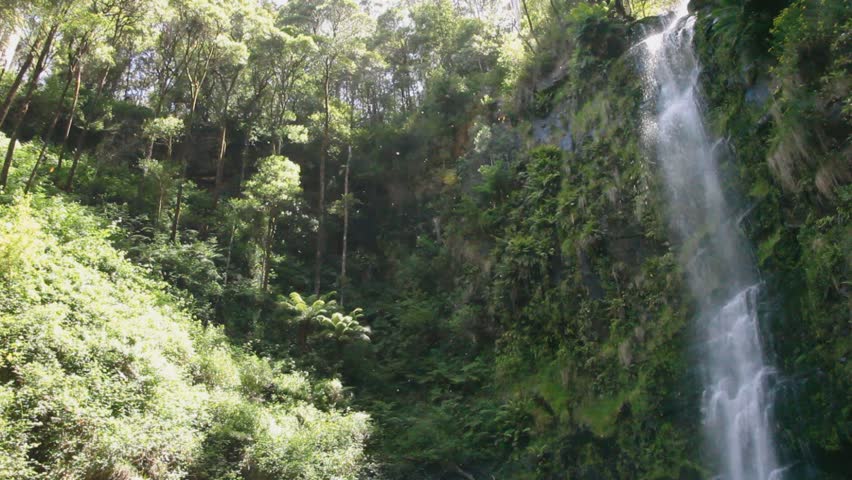 Tall Waterfall in lush Forrest
