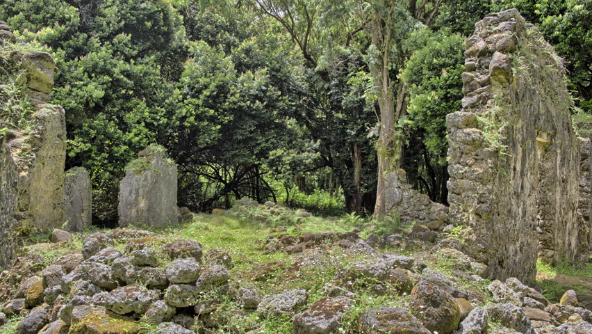 Kamehameha Summer Program