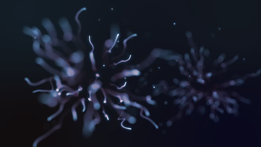 organic spore particles background in loop