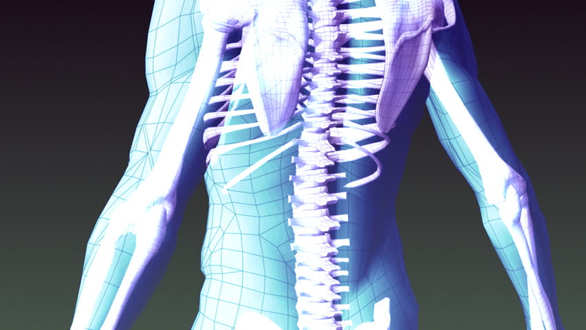 Lower back xray