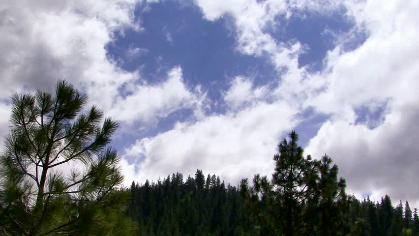 Clouds: Time lapse clouds sail across a pale blue sky over pine-studded hills.
