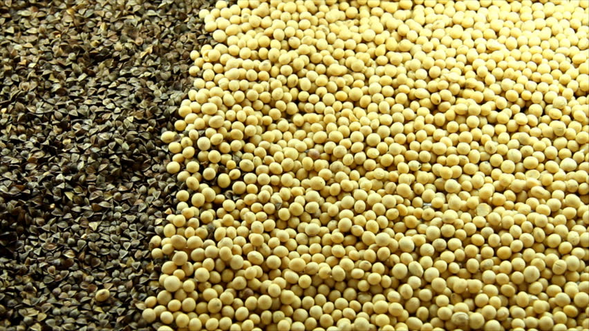 Soybean seeds