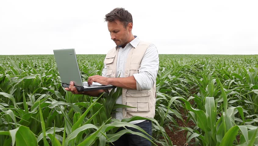Agronomist analyzing cereals with laptop computer