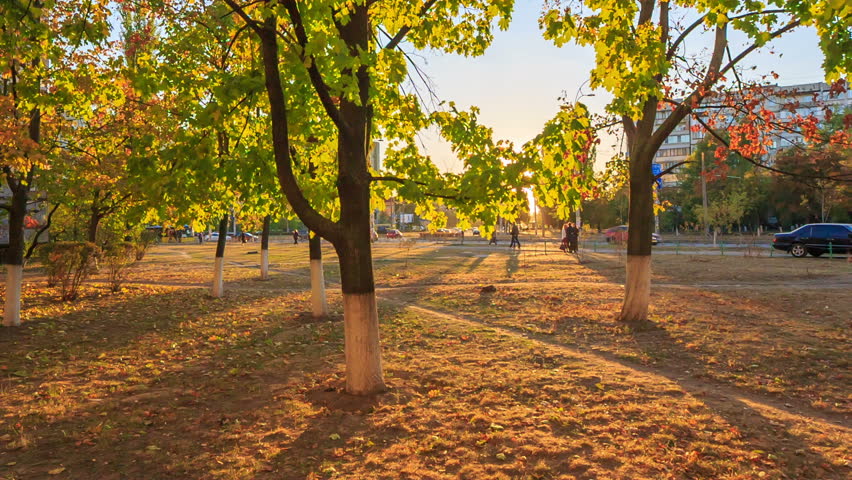 Header of Indian summer
