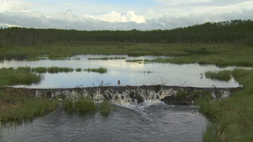 Beaver Dam