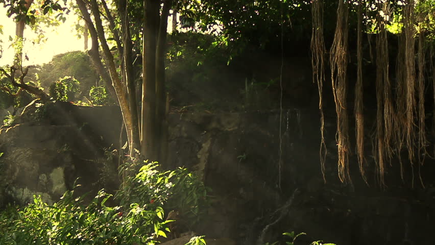 mystical waterfall in forest with rays of light