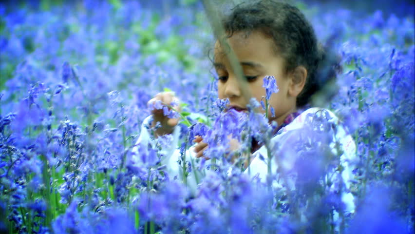 Little African American girl in bluebells