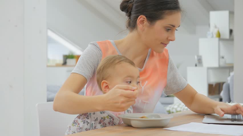 Header of feed