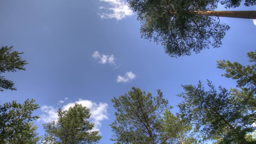 Sky and clouds over trees time lapse Full HD HDR