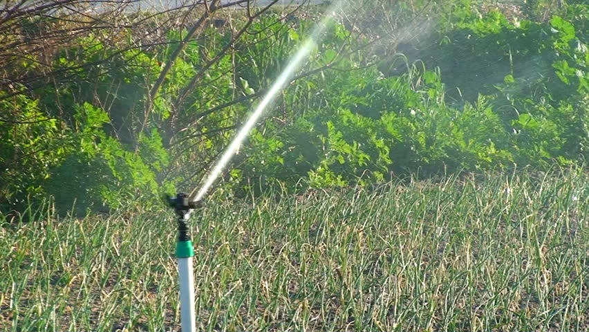 Sprinkler irrigation for watering cultivated field