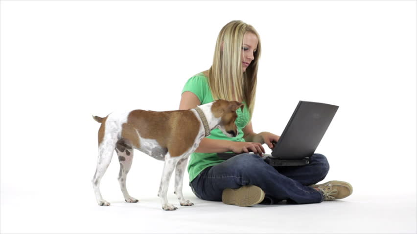 A cute Jack-Rat Terrier curious about what his pretty owner is doing on her laptop.