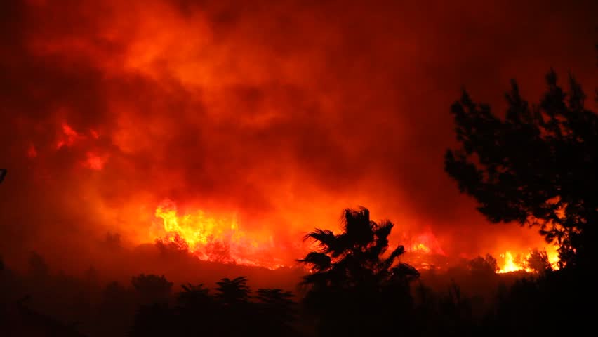 Fire storm in the forest hell on earth; horrific fire destroys thousands of acres of trees