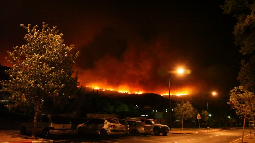 Fire storm in the forest hell on earth; horrific fire destroys thousands of acres of trees
