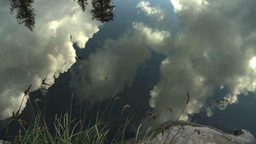 Throwing pebbles into water