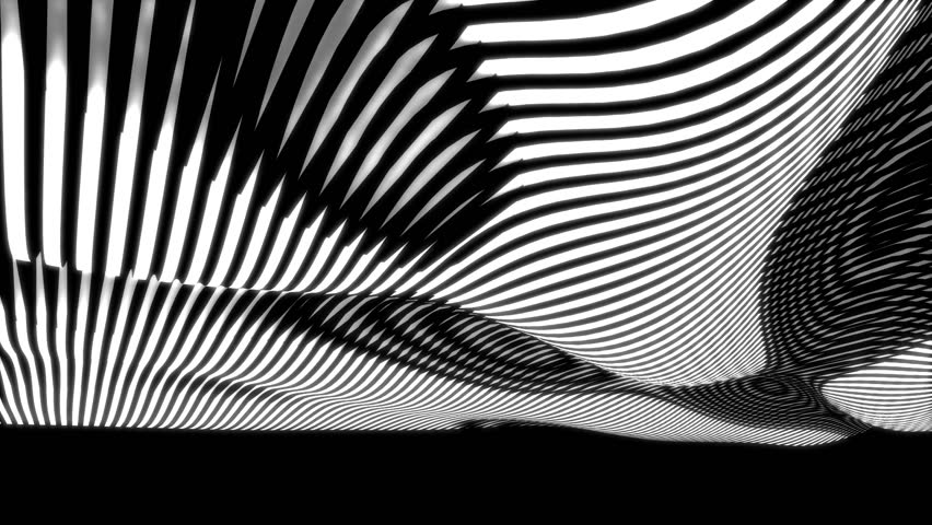 black and white op-art waves seamless loop with alpha