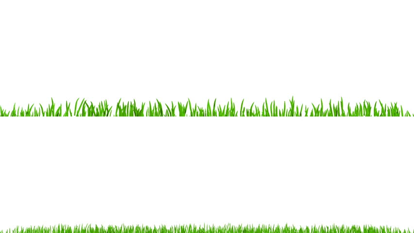 Growing green grass on white background, alpha included