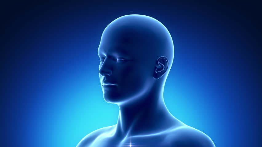 Male BRAIN medical scan anatomy