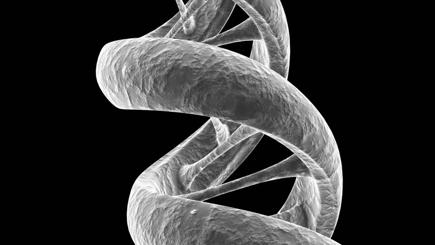 Animated gray textured DNA strand.