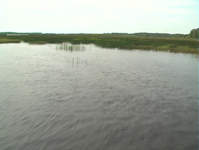 A view of the northernmost part of the Florida everglades from aboard an airboat.  Mini DV with film emulation.  Shot at West Lake Tohopekaliga ("Lake Toho") in Kissimmee, Florida.