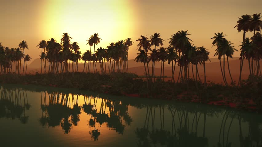 (1273B) Egyptian Sahara desert sand dunes palms oasis sunset 2/2 Edit Series