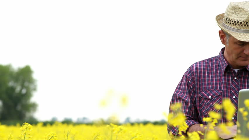 Farmer in a rape field, working on laptop; Full HD Photo JPEG