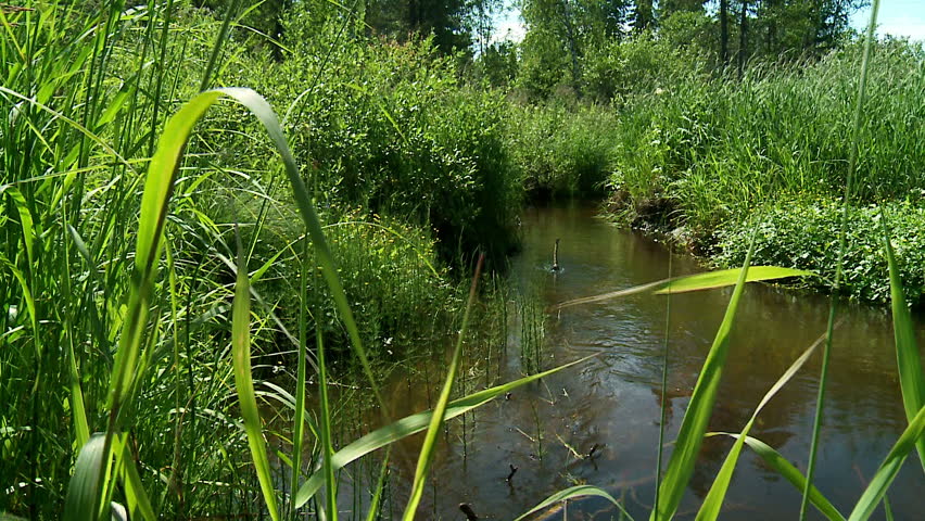 small river