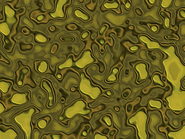 Infection spread variation  #4