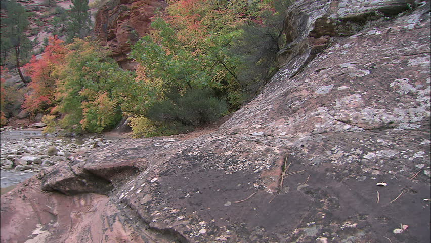 Lichen Covered Boulders Along River In Autumn, Zion National Park