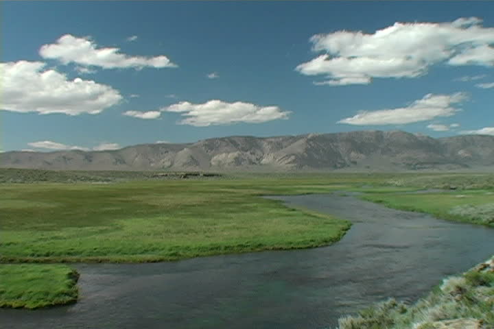 A zoom-out of a sulfur fed creek in the eastern sierras of California.