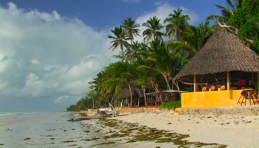 A person walks on a palm tree lined beach in front of tiki huts.