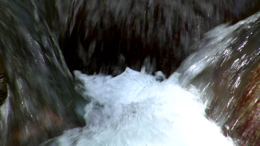 fresh water realtime loop