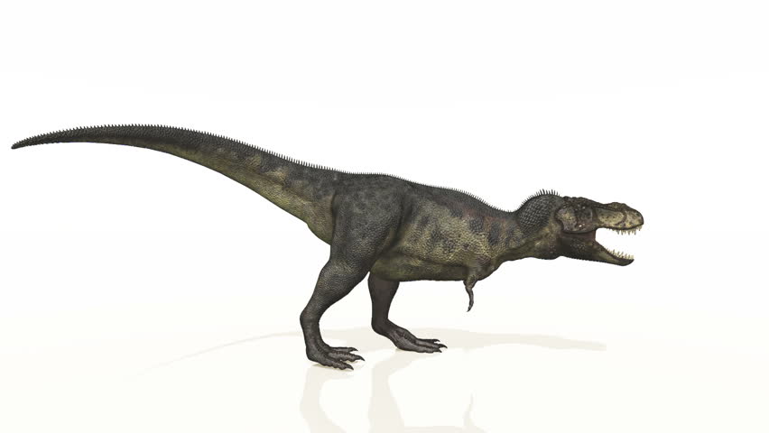 dinosaur 