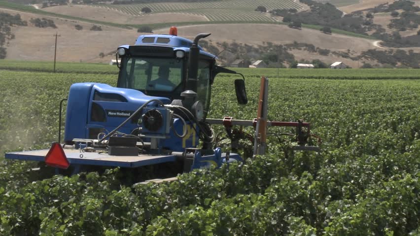 CALIFORNIA - CIRCA 2009: Machine pruning a Monterey County vineyard circa 2009 in California