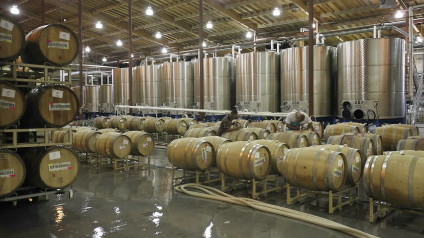 CALIFORNIA - CIRCA 2009: A cellar crew tops off wine barrels circa 2009 in California.