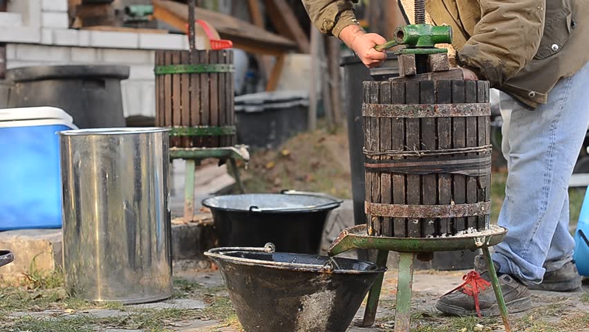 wine making