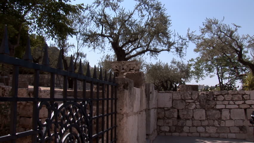 Garden of Gethsemane