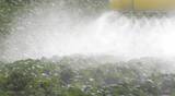 agriculture toxic tractor spraying pesticides crops fertilize organic duster