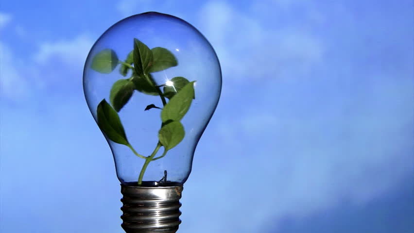 Plant in light bulb, rotate. Blue sky in background. Ecology concept.