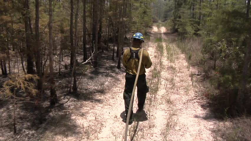 Wildland firefighters walks with a hose from the swamp buggy fire truck during a prescribed fire in the Florida Everglades