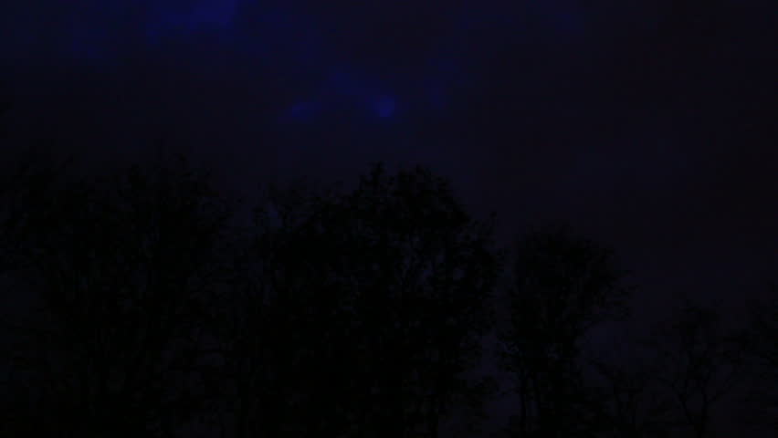 Mystic light beams slide on the tree's surface