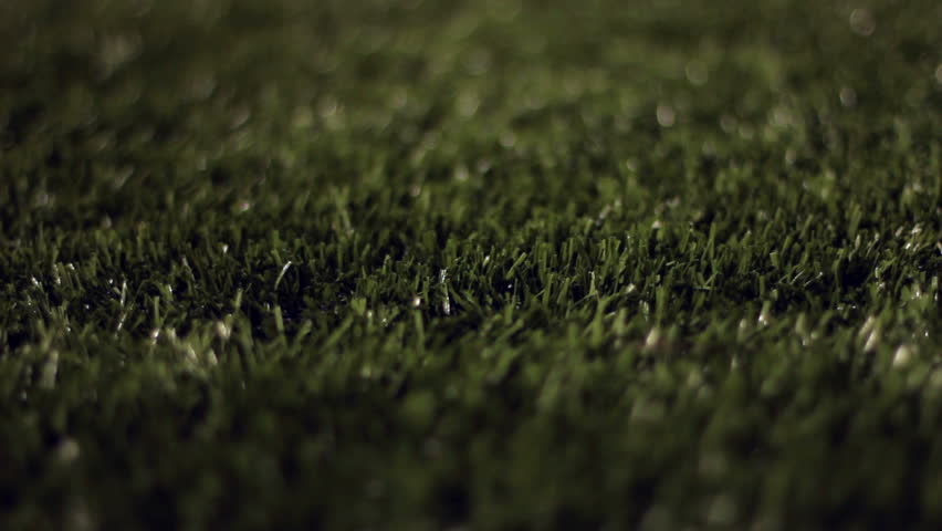 Close up dolly of turf grass