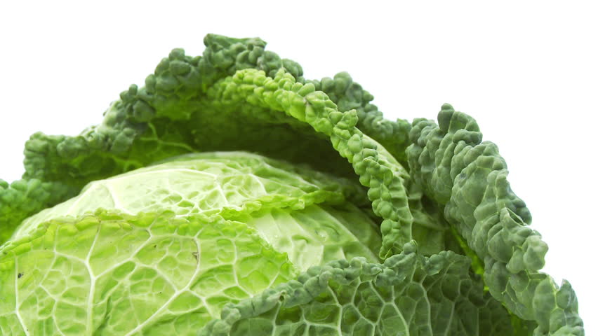 closeup of cabbage isolated on white background  
