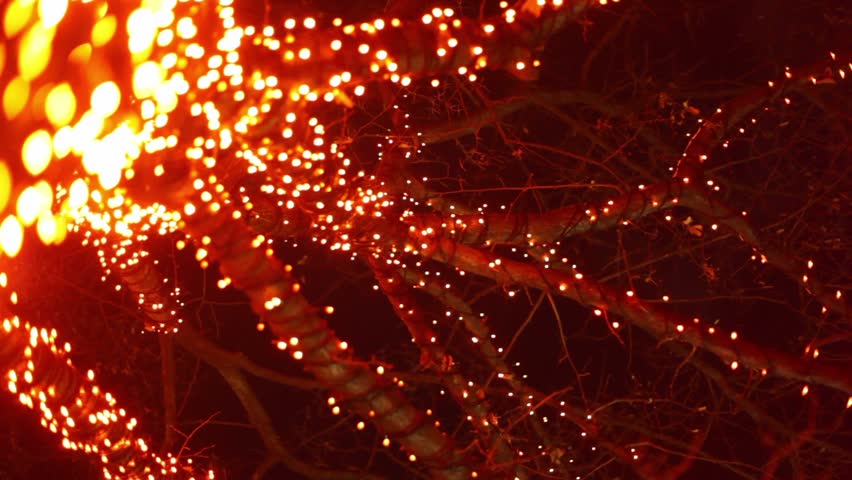Exhalation and garland on tree in dark, view from below