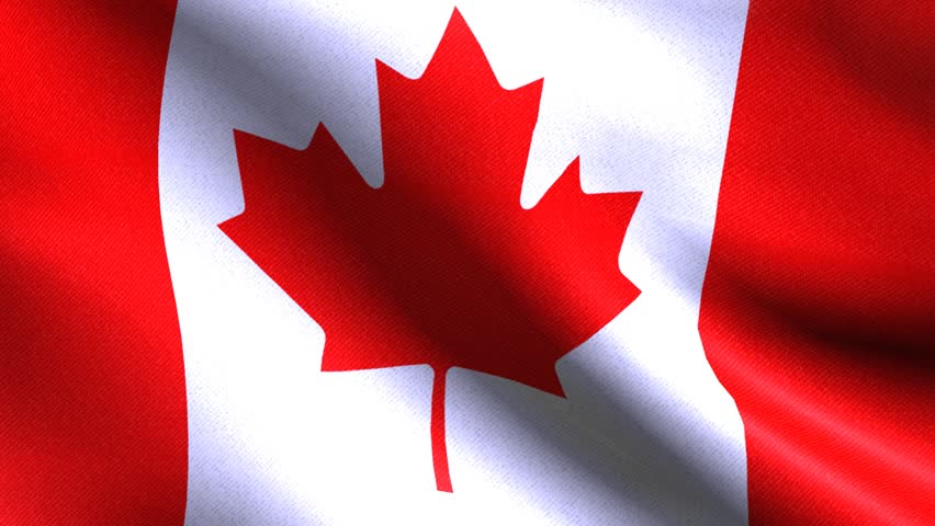 The Flag Of Canada Waving In The Wind Stock Footage Video 877588