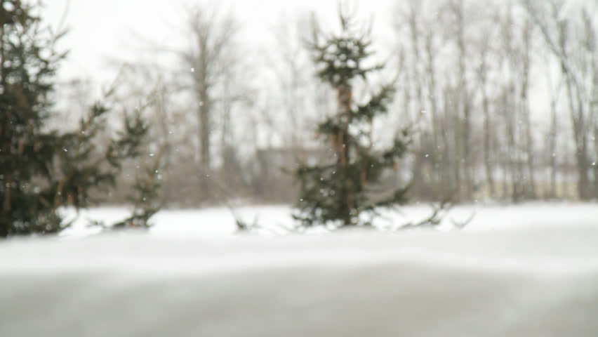 A dolly shot of evergreen trees and snow falling.