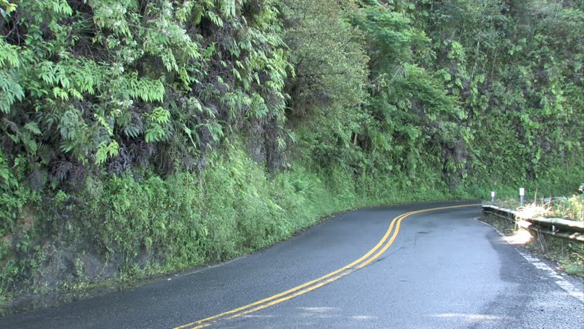 Three vehicles, car and mini-vans driving around a curve in the rain on a Maui Hawaii rain forest road.  Steep cliffs along road, narrow road. 