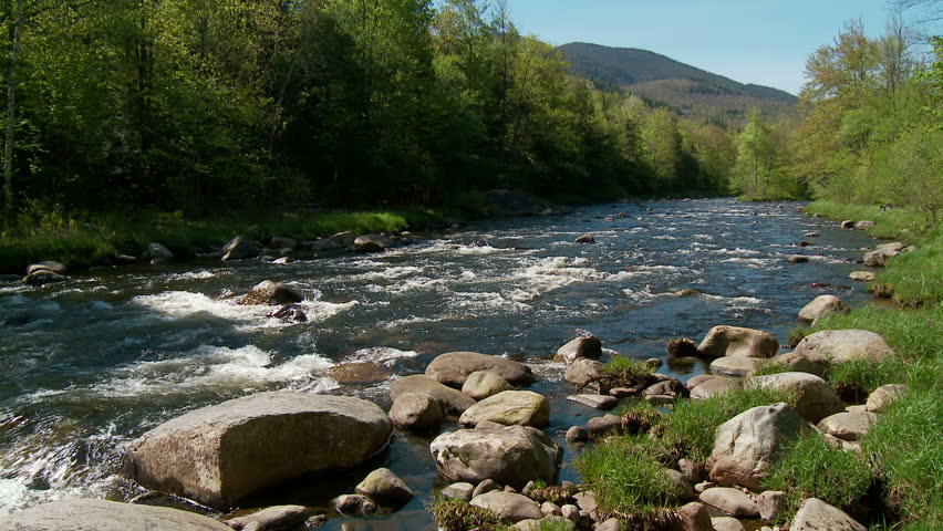 Rocky river in springtime forest