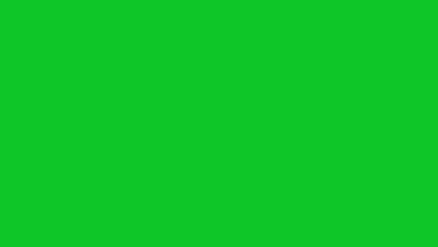 orange fish swimming in front of green screen